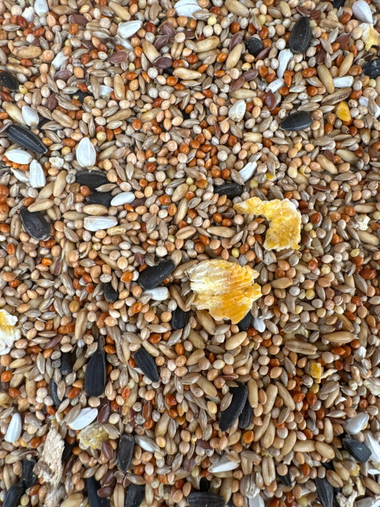 Lovebird Mix – New & Improved Recipe - Haith's UK