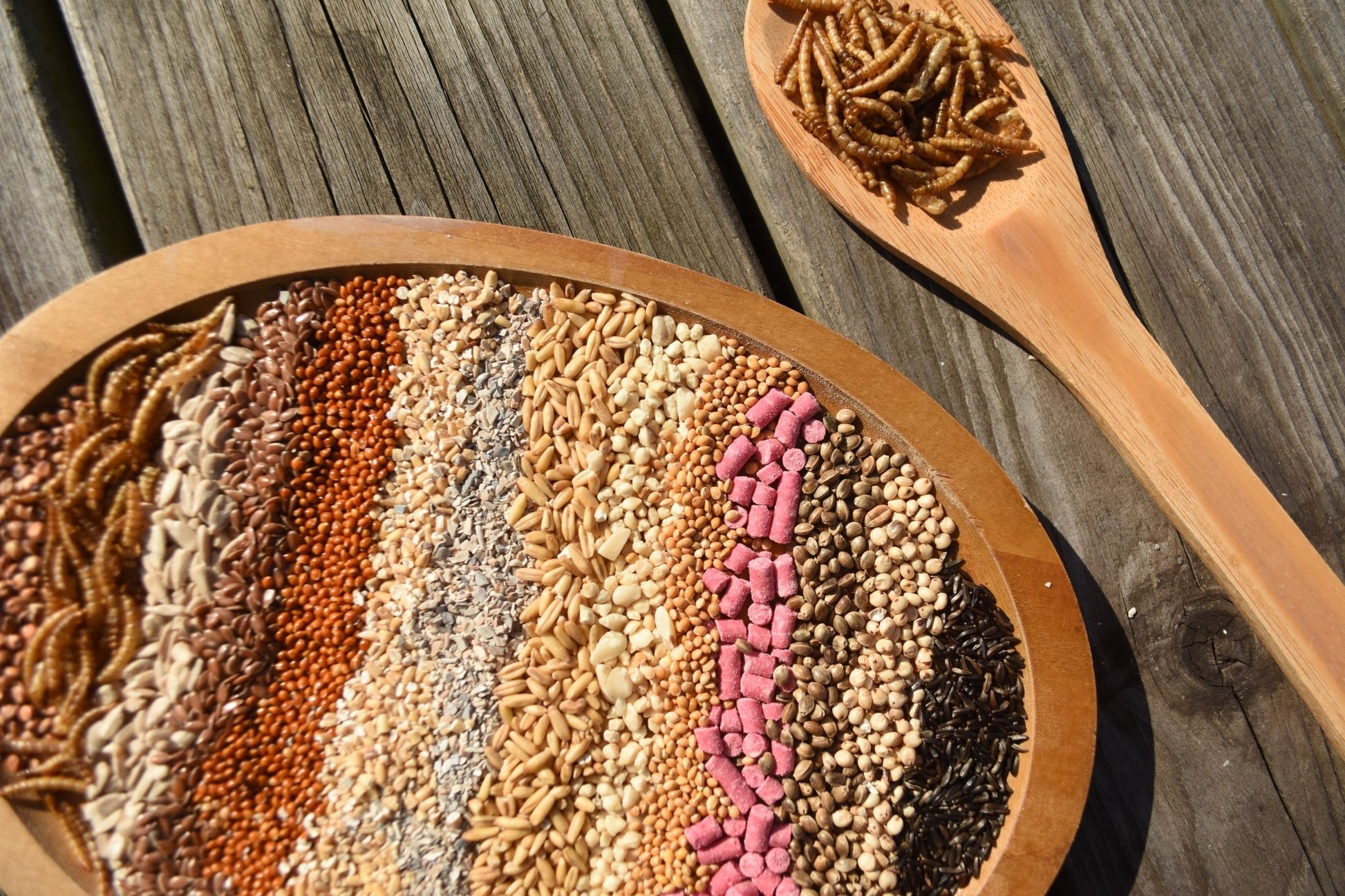 Medley™ - Super Bird Seed Blend - Haith's