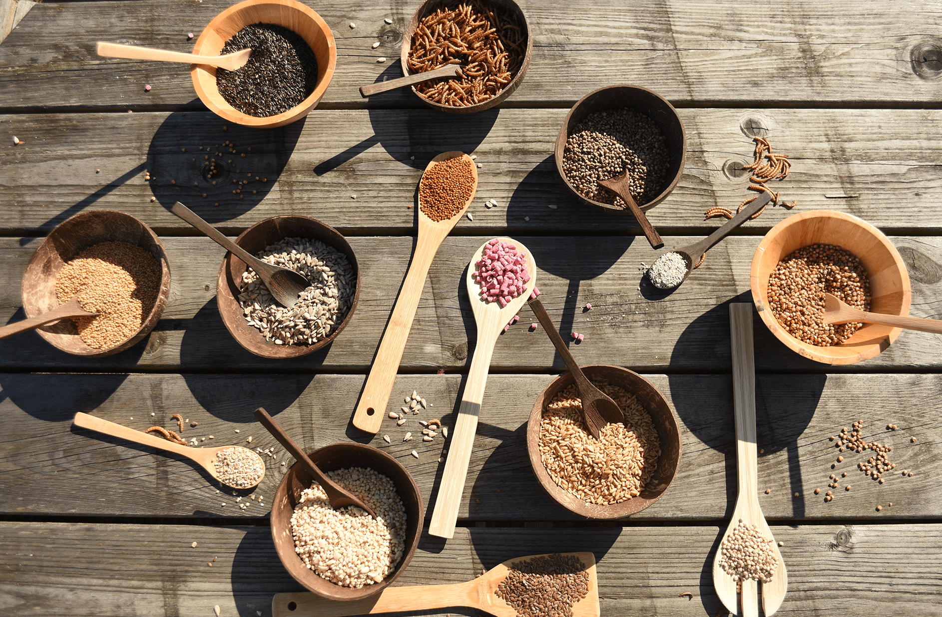 Medley - Super Bird Seed Blend for wild garden birds