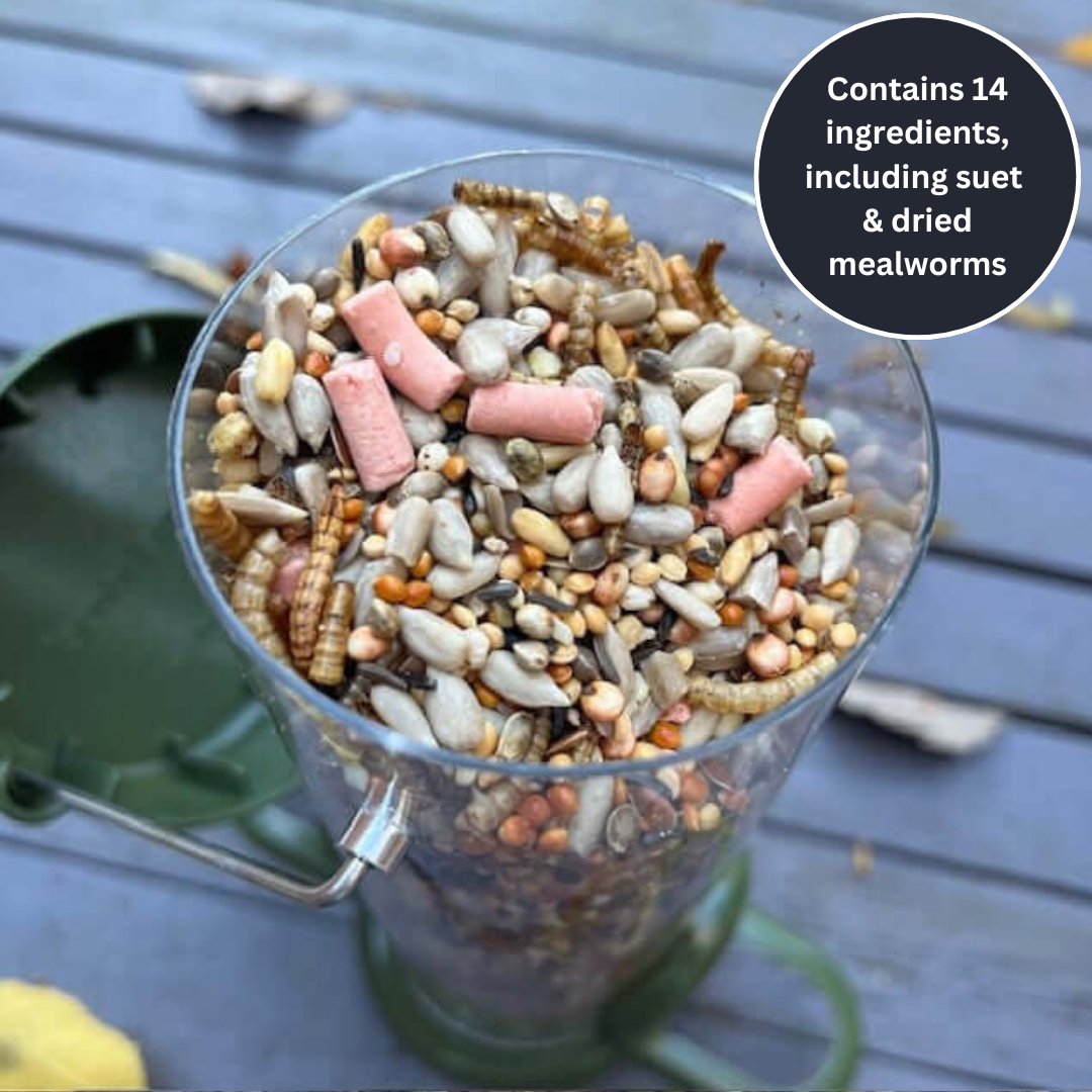 Medley™ mix in a seed feeder