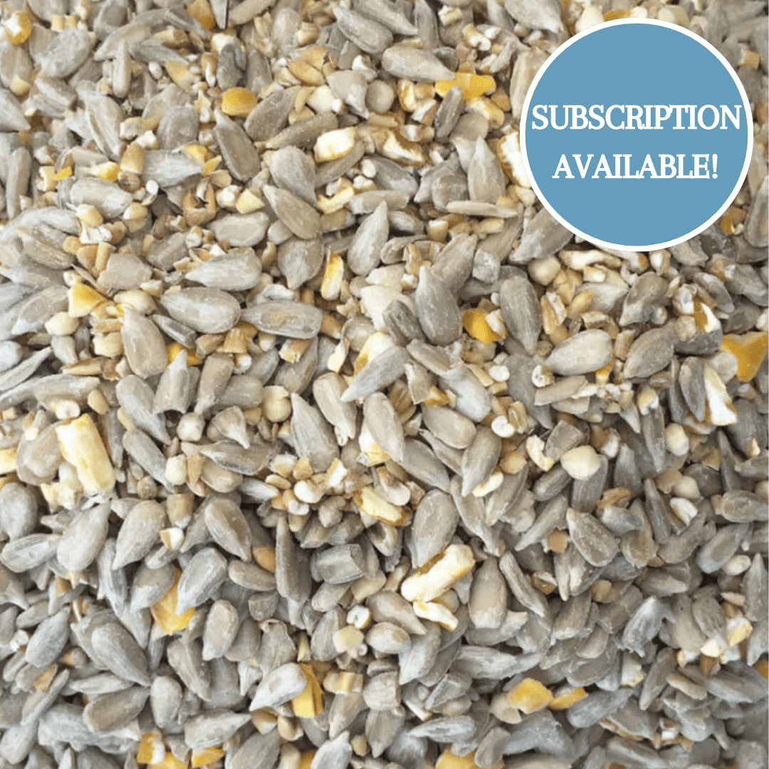 Haiths Huskfree Advance Bird Food a perfect Subscriber Mix
