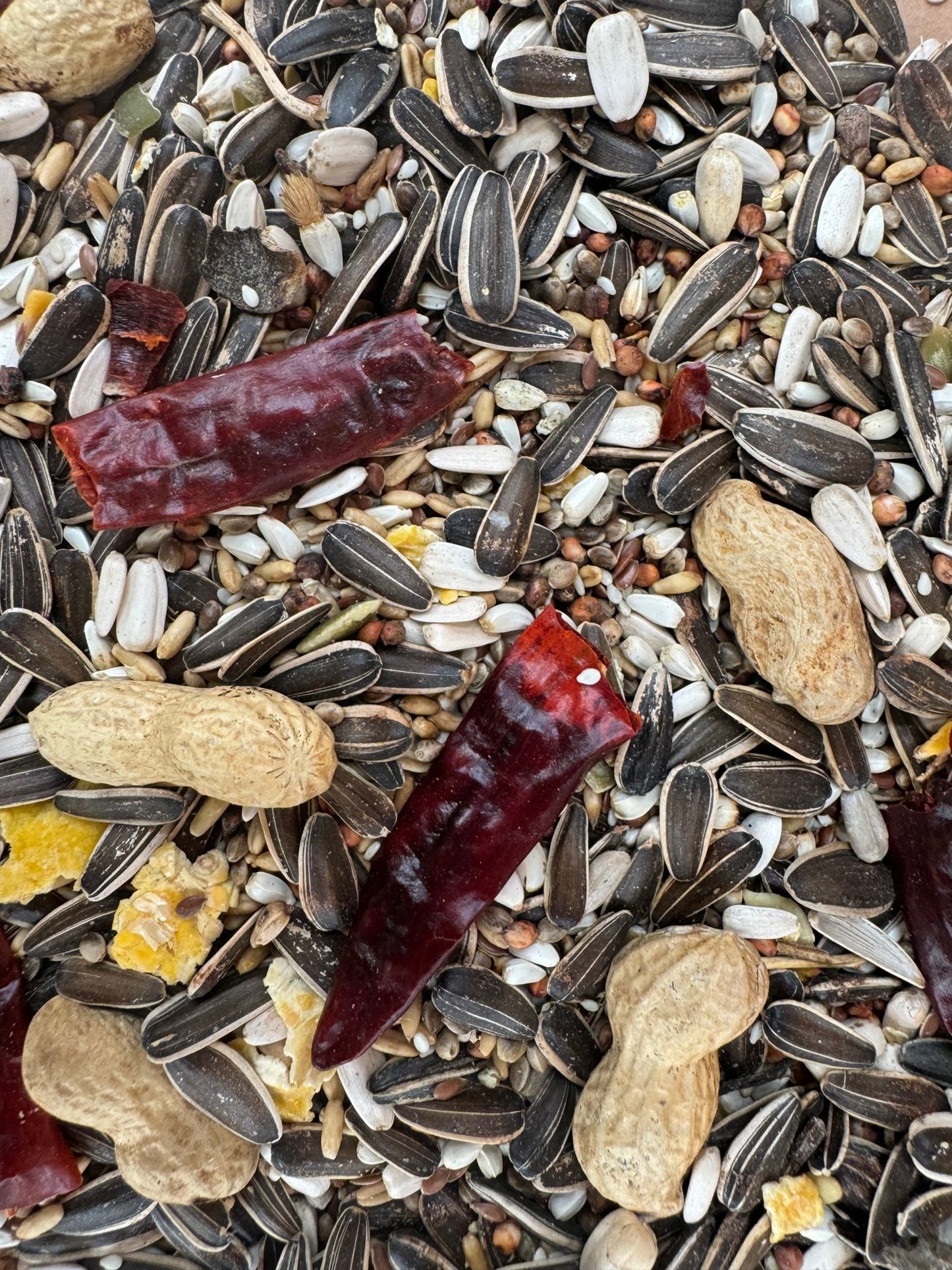 Parrot Food Superior - New recipe - Haith's UK