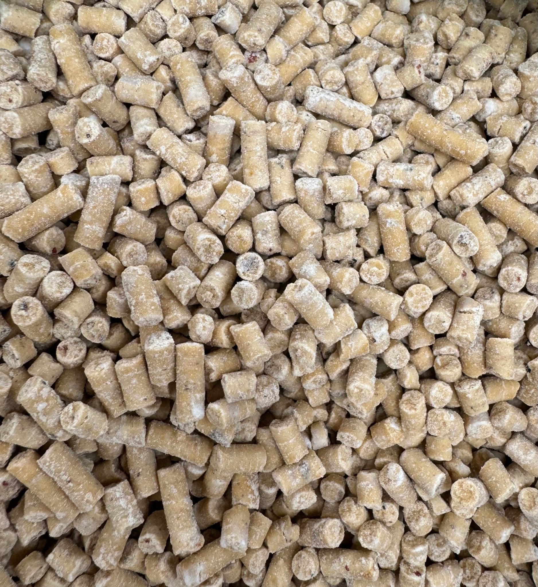 Peanut & Mealworm Suet Pellets - Haith's UK