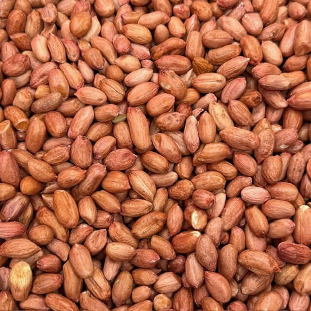 Premium Peanuts for cage birds - Haith's