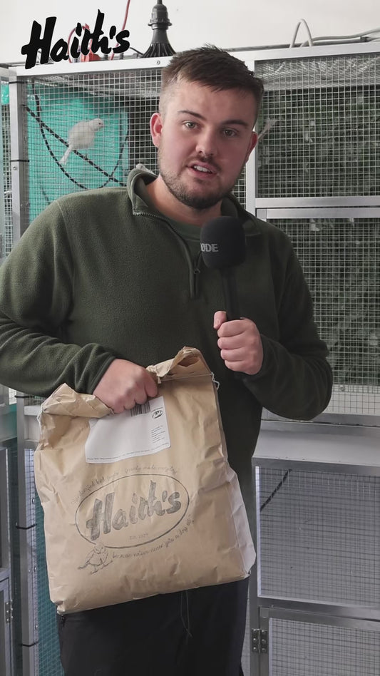 Condition Seed – The Classic Formula for Feather, Form and Appetite