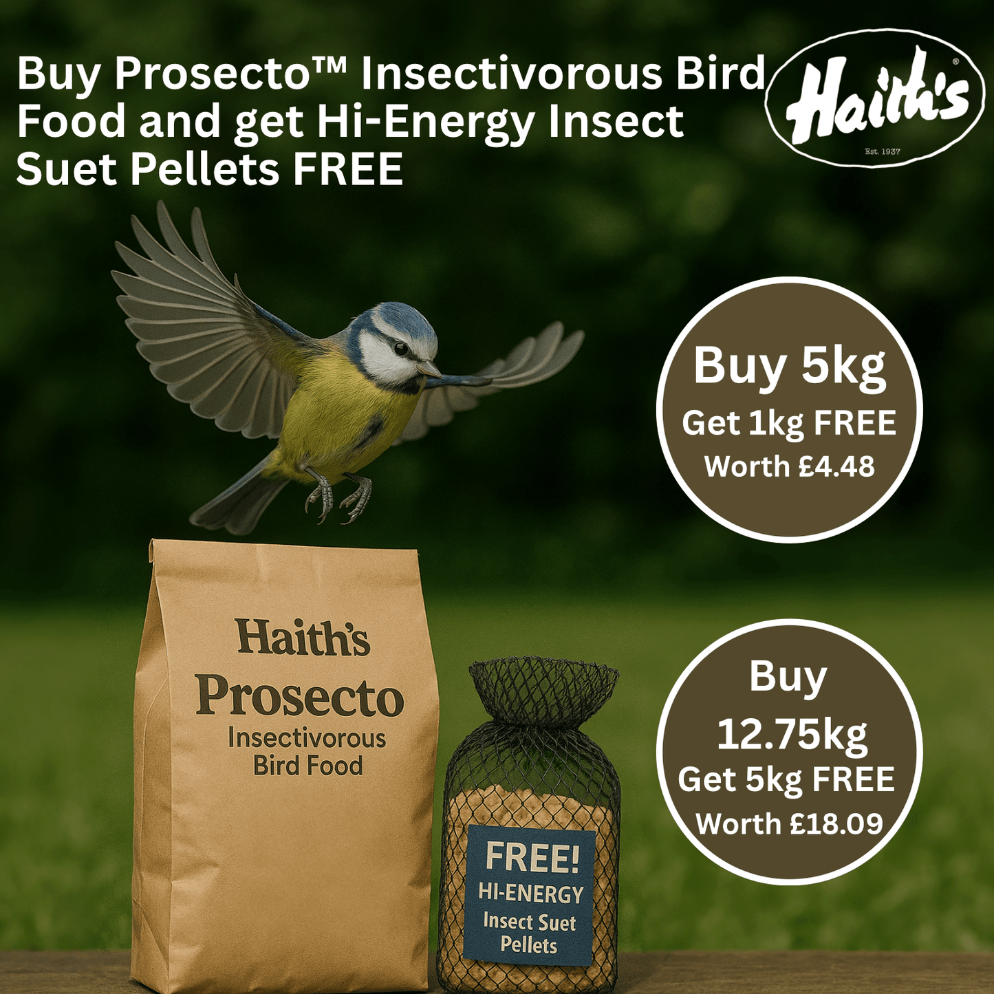 Prosecto™ Insectivorous Bird Food - Haith's UK
