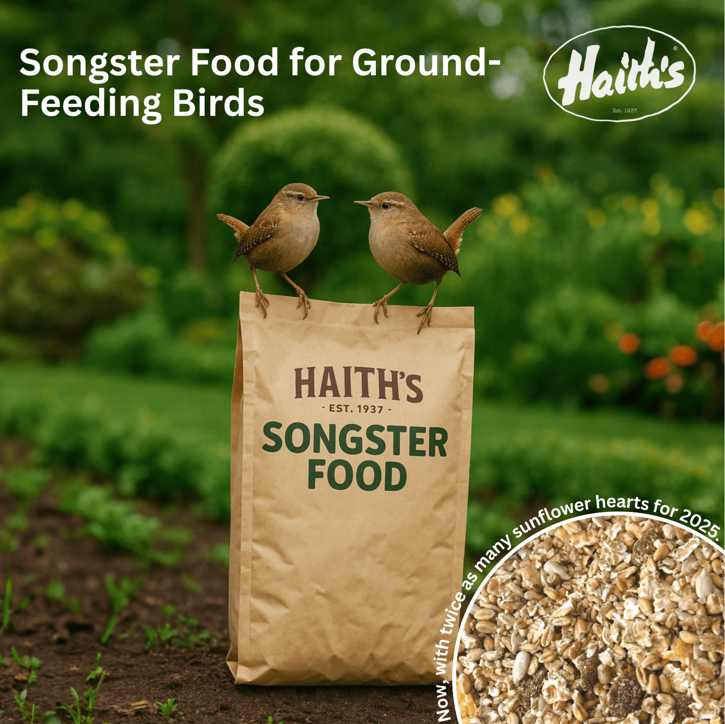 Songster Food for Ground - Feeding Birds - Haith's UK
