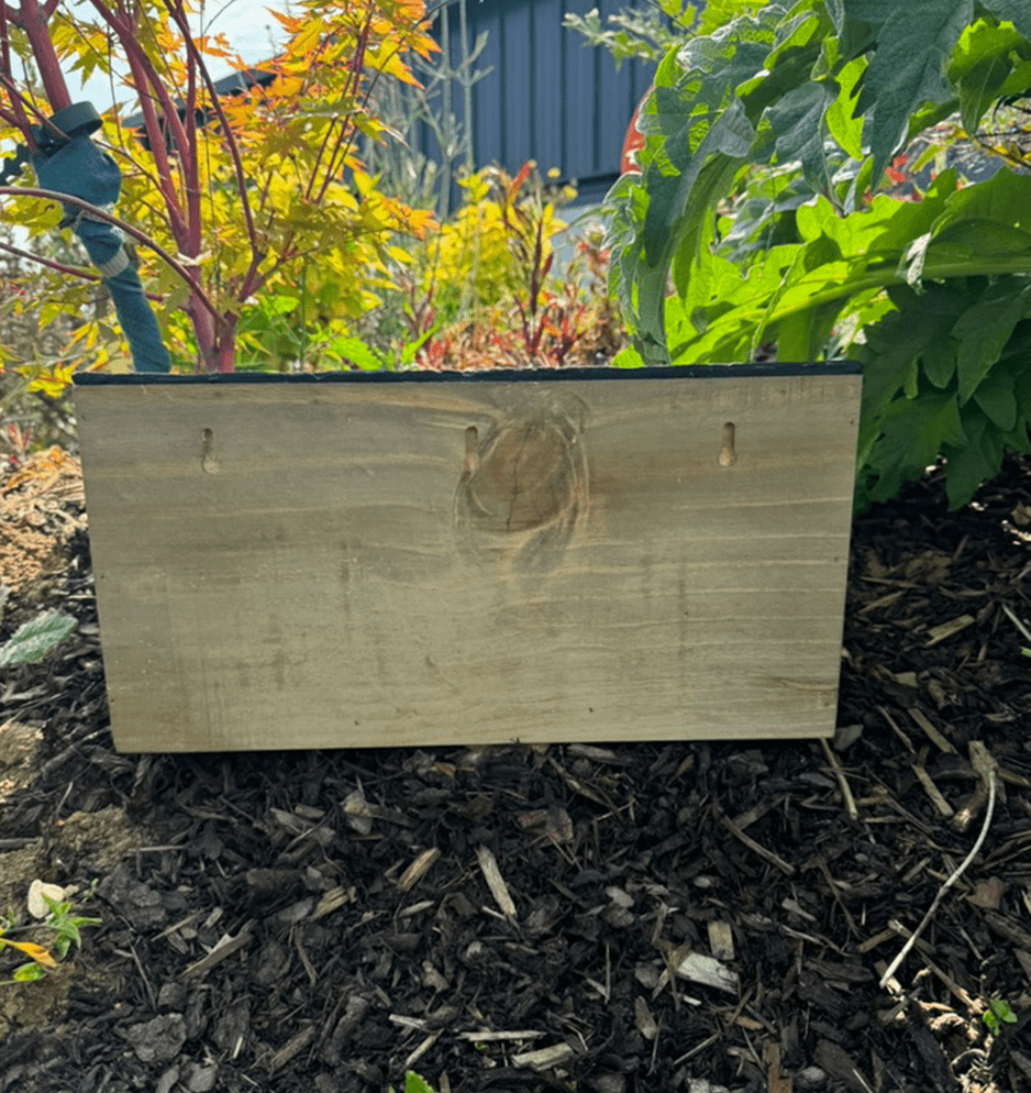 Sparrow Colony Nest Box - Haith's UK