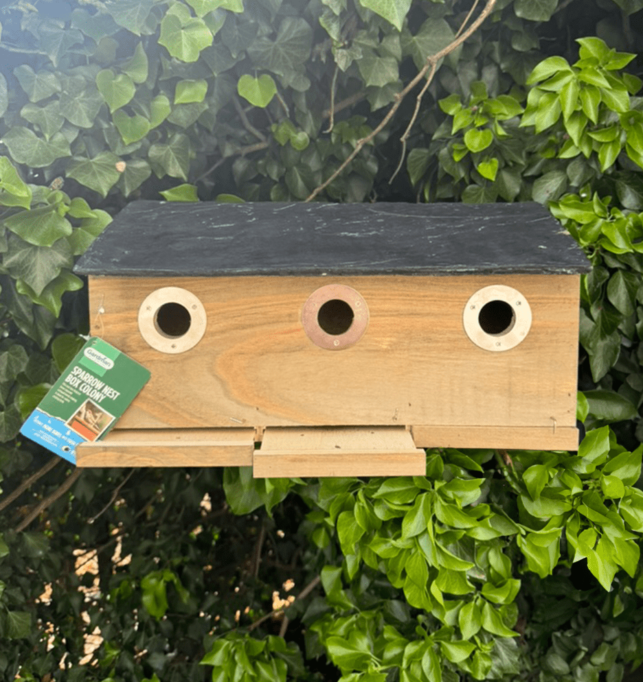 Sparrow Colony Nest Box - Haith's UK