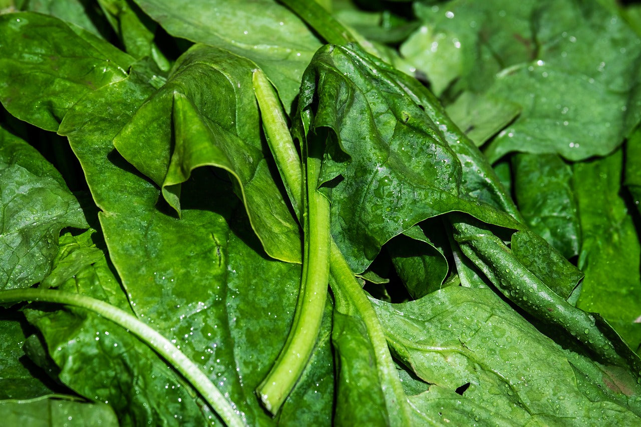 Close-up of fresh green spinach leaves with a focus on texture and colour.