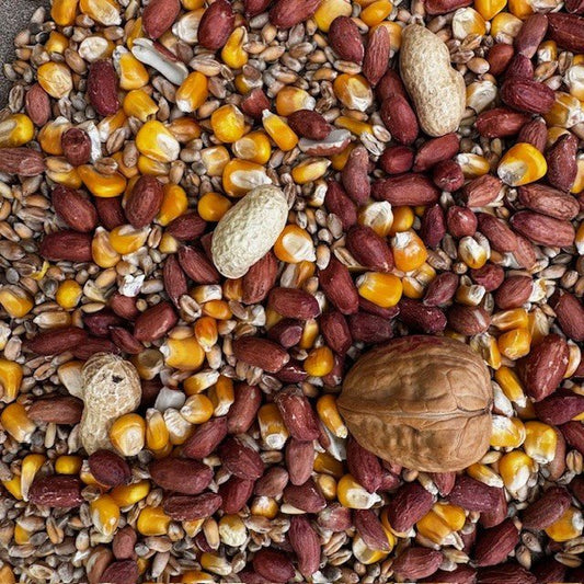 Squirrel Mix - NEW Mix - Haith's UK