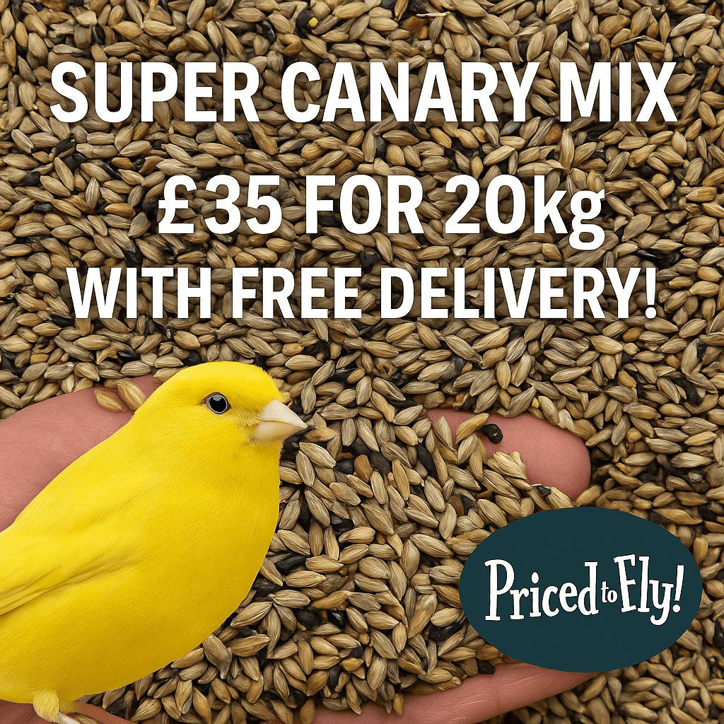 Super Canary Seed – With Yellow Biscuit (1.2%) - Haith's UK