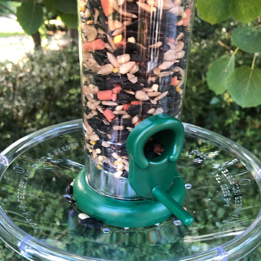 Winterberry™ - High - Energy Seed Mix - Haith's UK