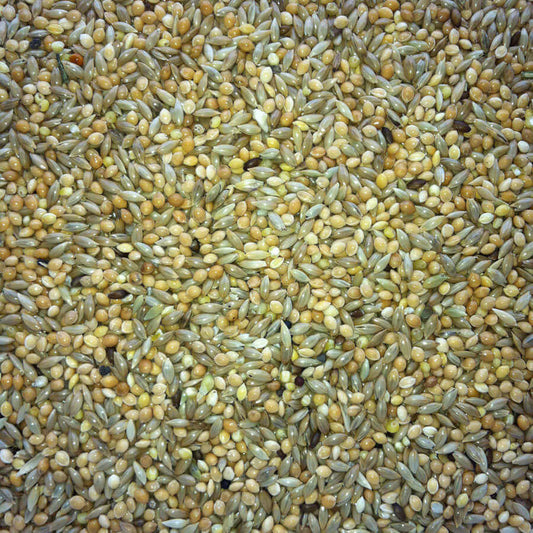 Haith's 50/50 Budgie Mix has equal quantities of super-clean canary seed and yellow millet.