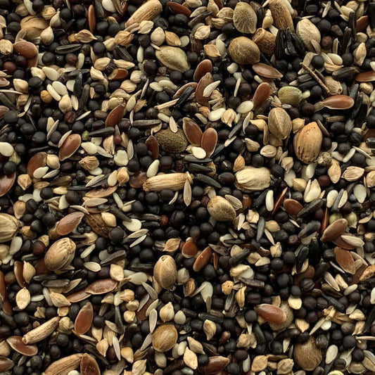 High-fat, vitamin-rich Haith's Condition Seed with Aniseed Oil-infused Rape Seed, ideal for birds in aviaries.