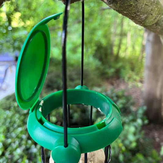 Easy open and close Fliptop fat ball feeder with hanging loop will hold three small fat balls
