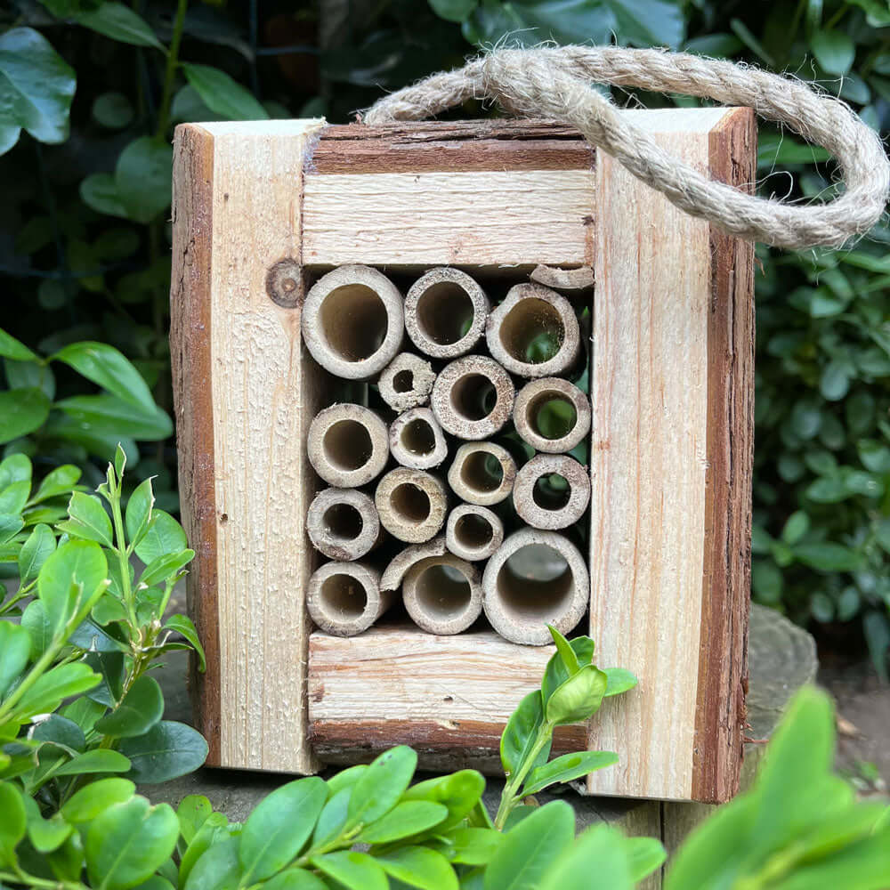 Beautiful rustic Insect Box crafted from wood, featuring sturdy twine for hanging.