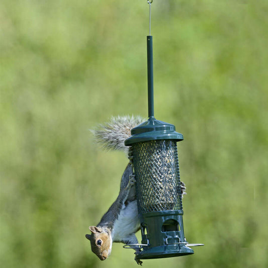 Durable metal seed feeder denies squirrels access to the food inside.