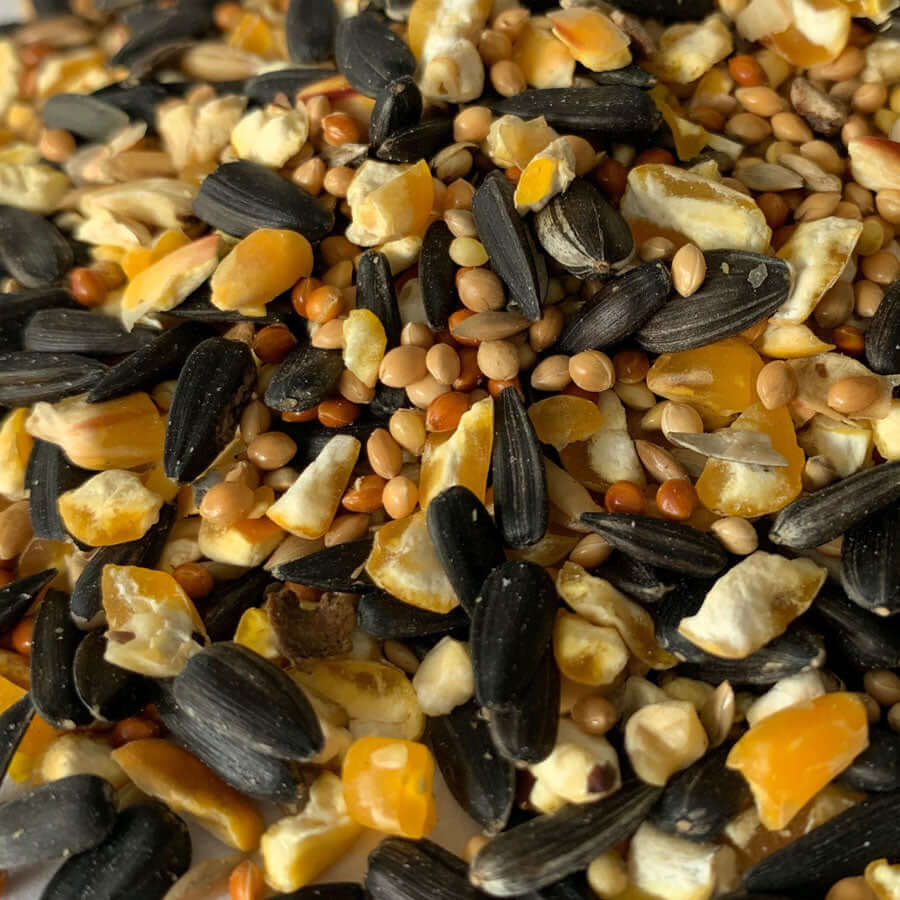 Jackdaw Bird Foods