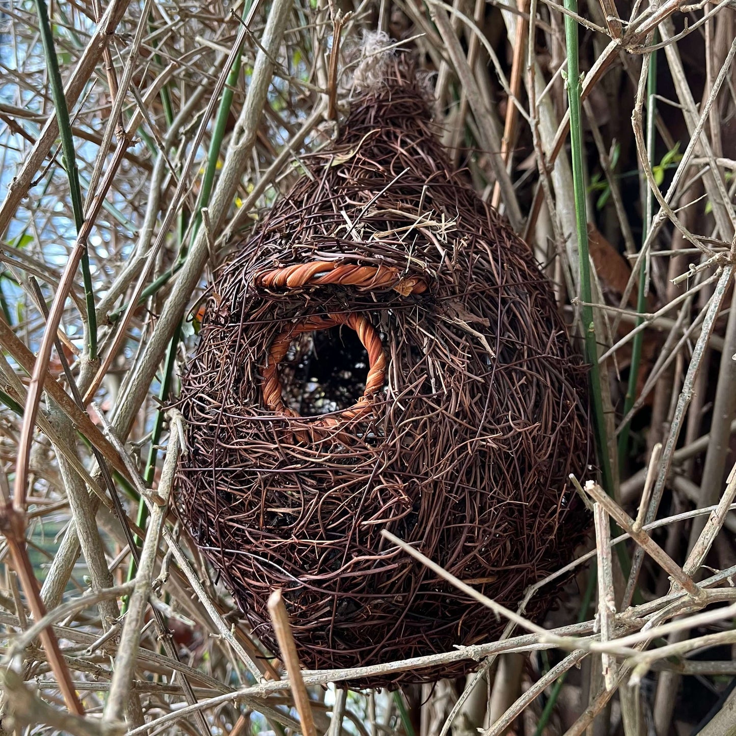 Giant Roost Pocket for small birds, available from Haith's.