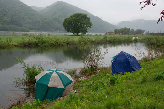 Unlocking the Secrets of Winter Carp Fishing