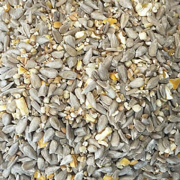 How to choose the best bird food for your garden birds