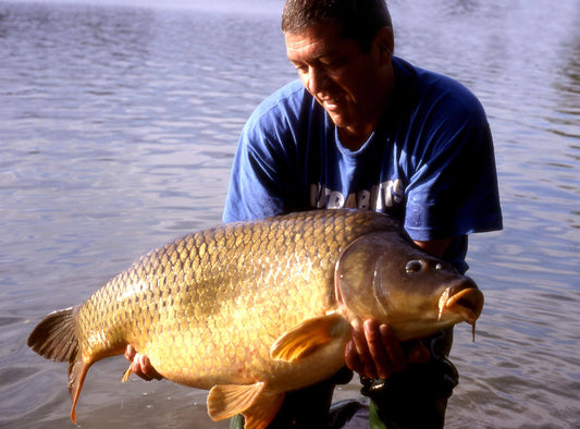 Micro baits for fishing