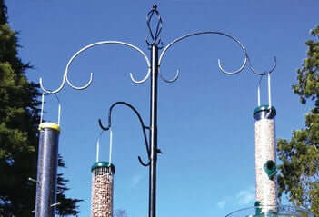 Image of a bird feeding station