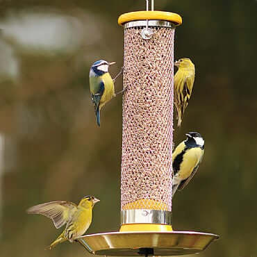 Wildlife adventures with an iPhone - Bird feeder test