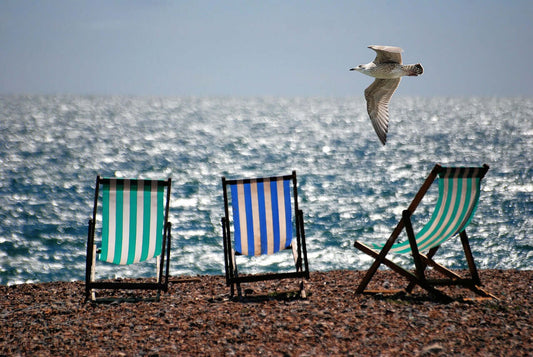 Fun at the Seaside!