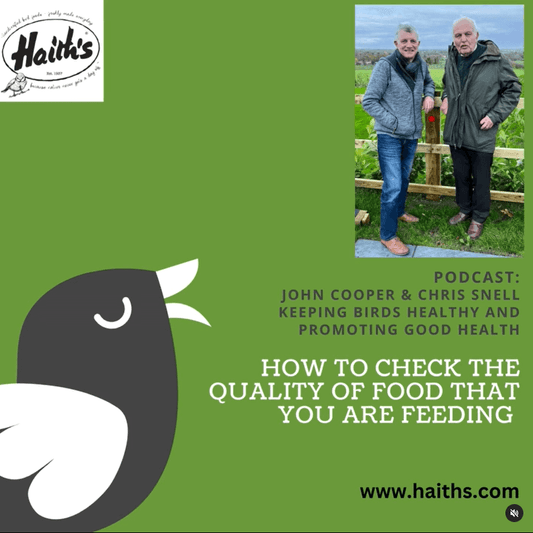 How to check the quality of bird food that you are feeding