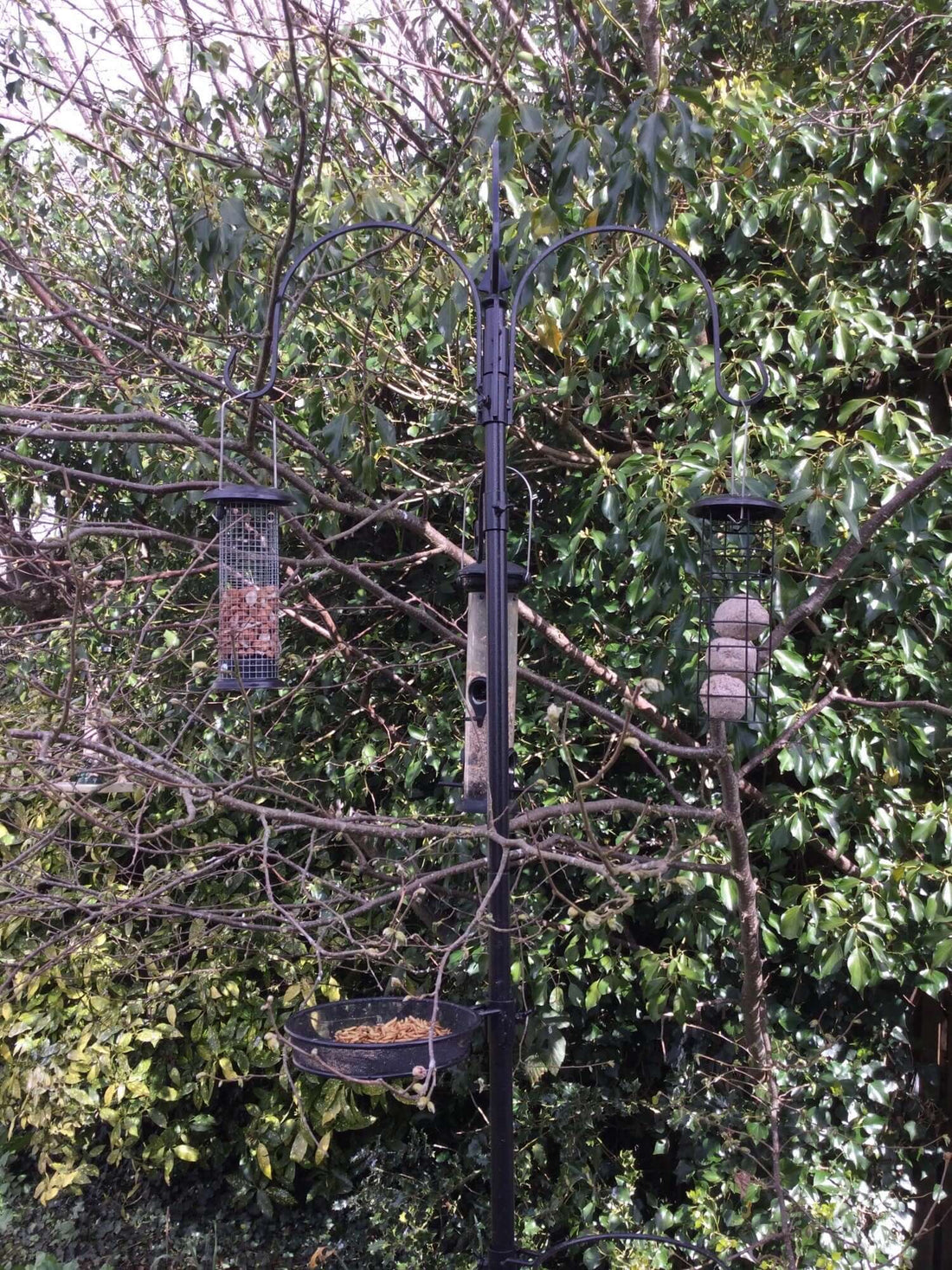 Bird Feeding Station