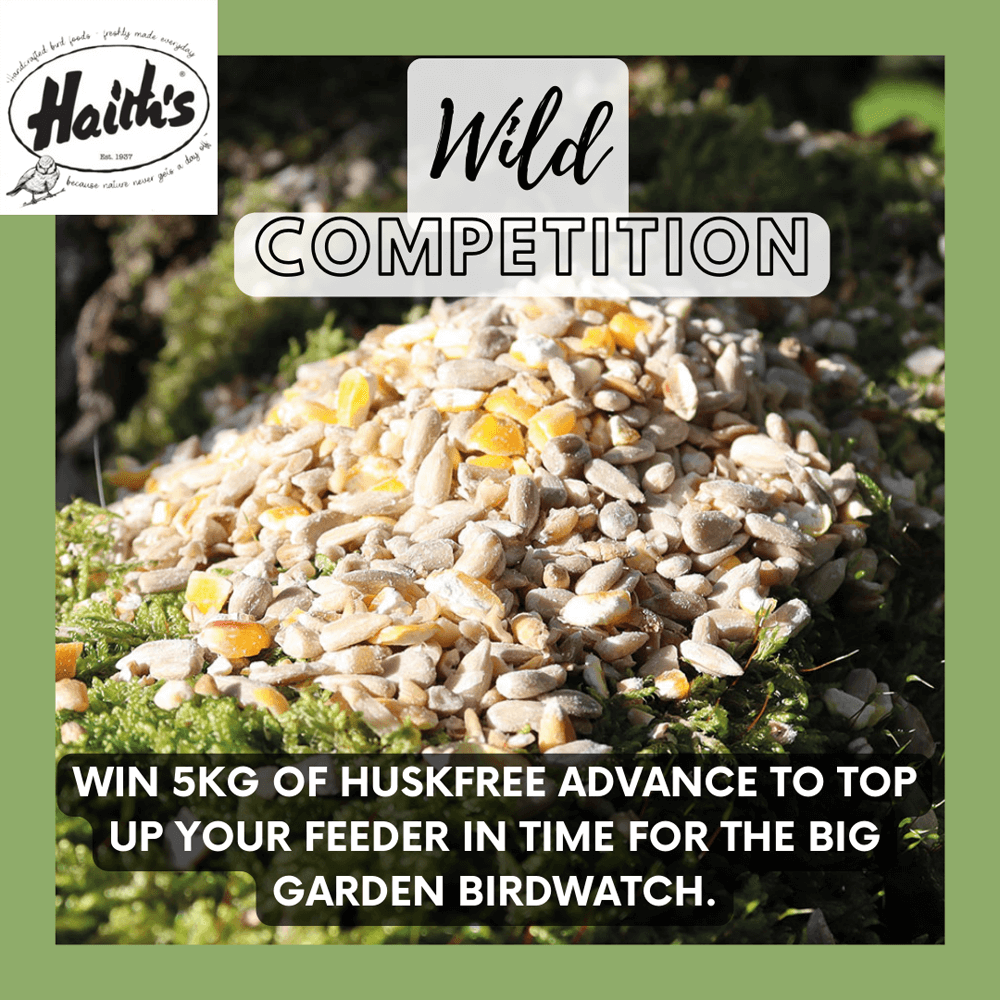 Win a bag of SuperClean, 100% edible wild bird food