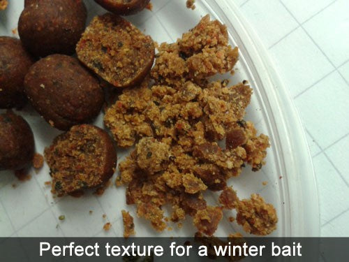 Winter Baiting Tips: Decrease Your Waiting Time