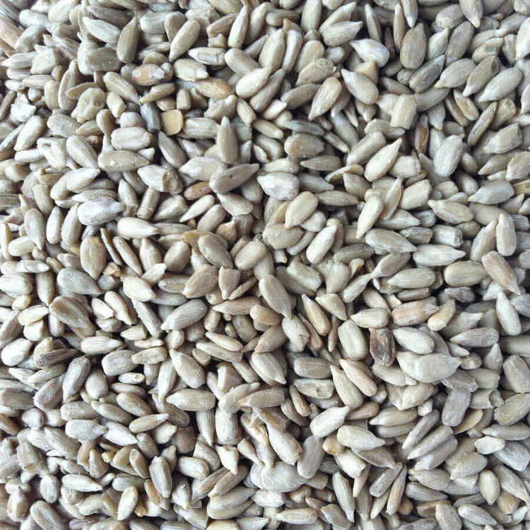 Sunflower Hearts as Carp Bait Part 1: Benefits and Methods