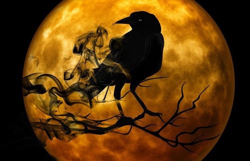 Birds and Halloween traditions