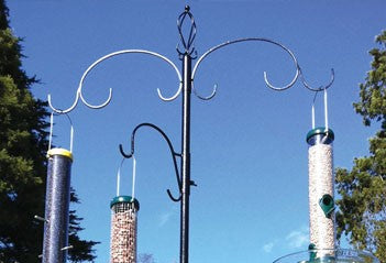 Image of a bird feeding station