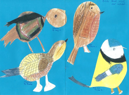 Image of hand drawn birds by school children