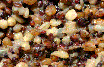 Pulses, Seeds and Cereals