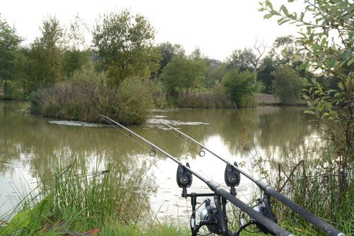 Wind and Wuthering: Understanding Weather Effects on Fishing