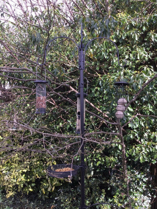 A new bird feeding station - Haith's