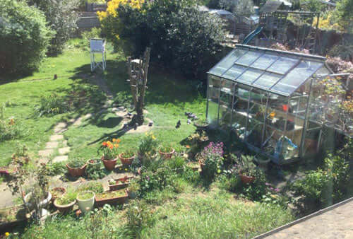 Having a wash and brush up in the garden