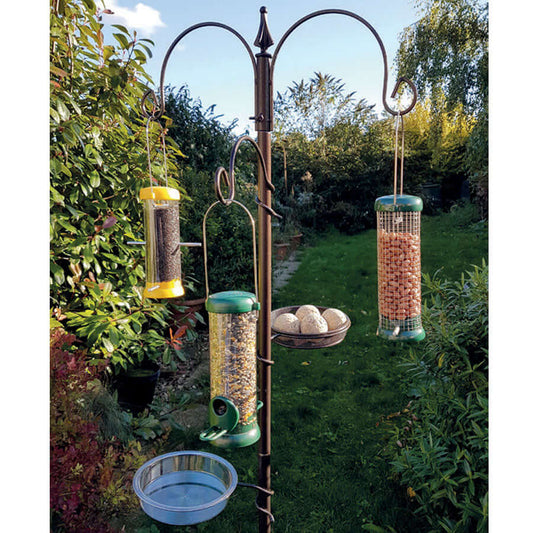 Better Feeding, Better Health: The Benefits of Adjustable Bird Feeding Poles - Haith's UK