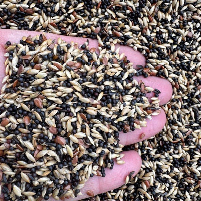 British Finch Feeding System - Haith's UK