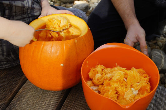 Image of a person carving out a pumpkin to use as a bird feeder