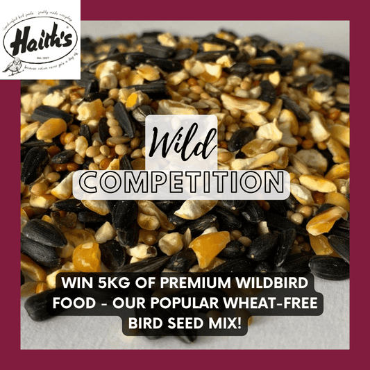 Haith’s Wild Bird Competition: Win 5kg Premium Wildbird Food – our popular wheat-free bird seed mix!