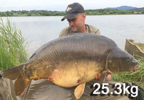 Dynamite Baits' Robin Red Hardened hookbaits doing the business in Slovenia - Haith's