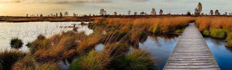 Experience Nature: Tips for Getting Closer to Wildlife - Haith's