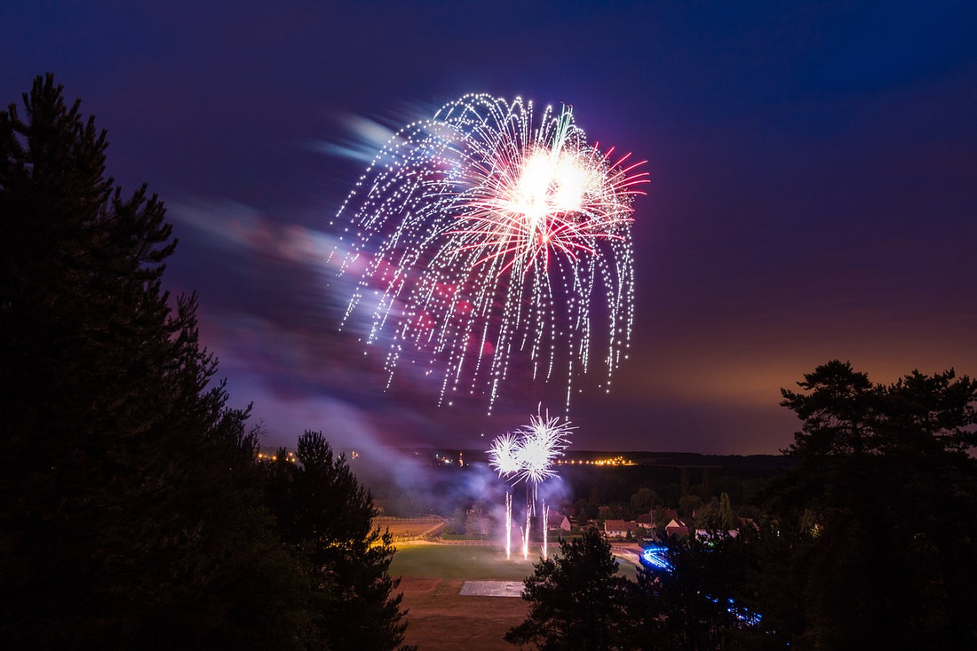 Bonfire Night: Reducing Stress and keeping your Birds Safe