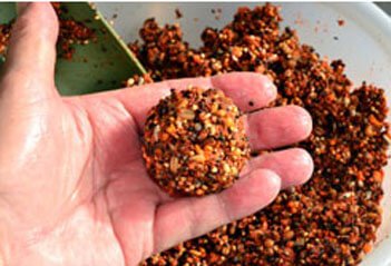 Ground fishing bait rolled into a ball in the palm of a hand